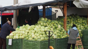 Оранжерийните производители ще получат допълнителни средства