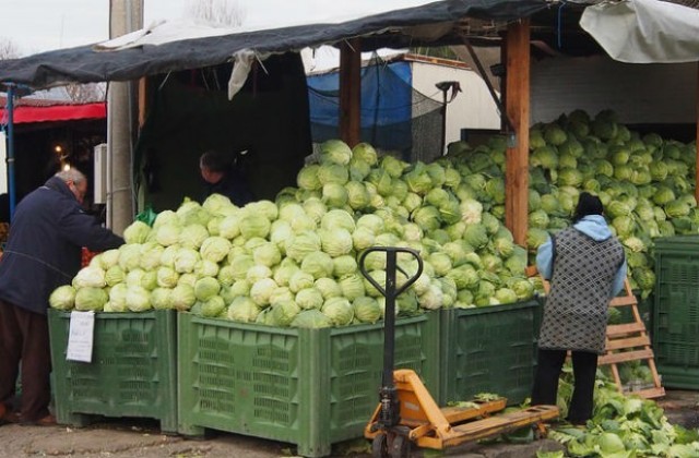 Оранжерийните производители ще получат допълнителни средства