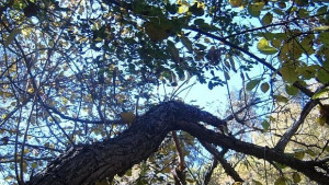 Температурите скачат до 15 градуса по Черноморието