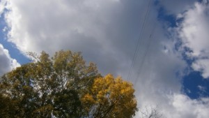 Пролетта за кратко напомня за себе си