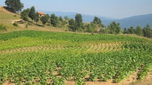 Представят новата програма за селските райони