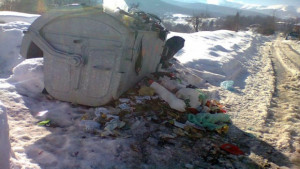 Григоров пита кмета на Русе за сметоизвозването