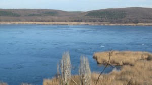 Езерото в резервата Сребърна се превърна в ледено огледало