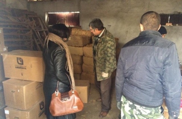 Тютюнопроизводители обезпокоени от късния старт на изкупуването