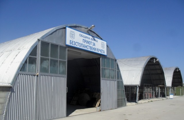 Кучкарникът в Каменар отново отваря врати за доброволци