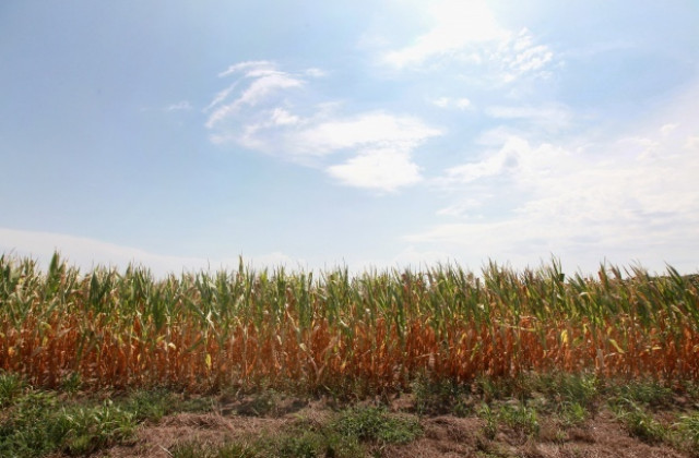 2014 г. е най-горещата година на планетата от 1880 г.