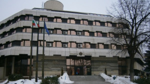 Ваня Рибарска подрежда керамика в община Дупница