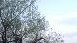 Разкъсана облачност без валежи