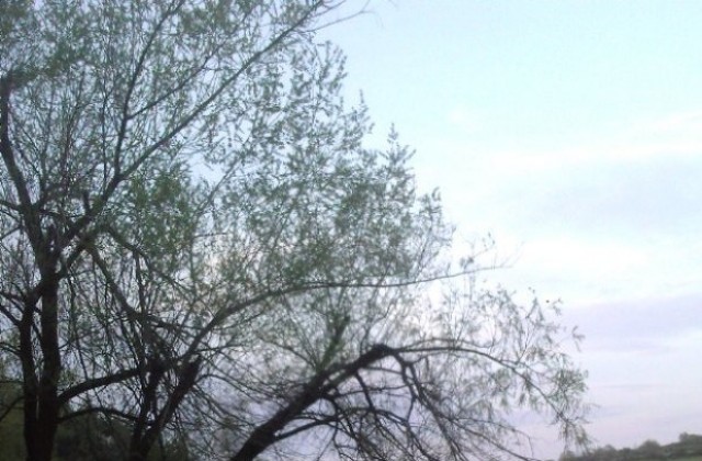 Разкъсана облачност, без валежи