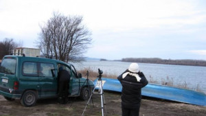 Преброиха зимуващите водолюбиви птици резултатите готови до месец