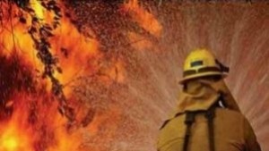 Пожар в Калояновец