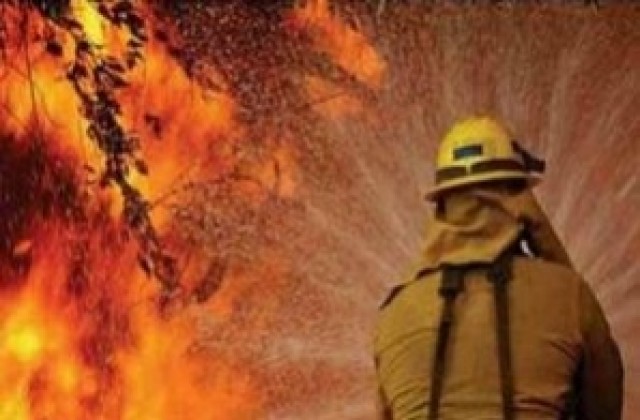 Пожар в Калояновец