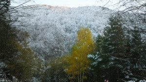 Времето Ще бъде тихо но със сутрешни мъгли