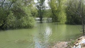 Валежи в цялата страна очаква се повишаване на речните нива