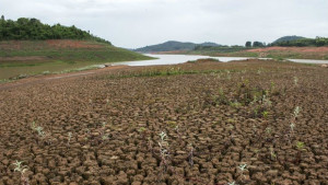 Невиждана от десетилетия суша мъчи Бразилия