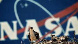 НАСА разработи марсиански разузнавателен хеликоптер