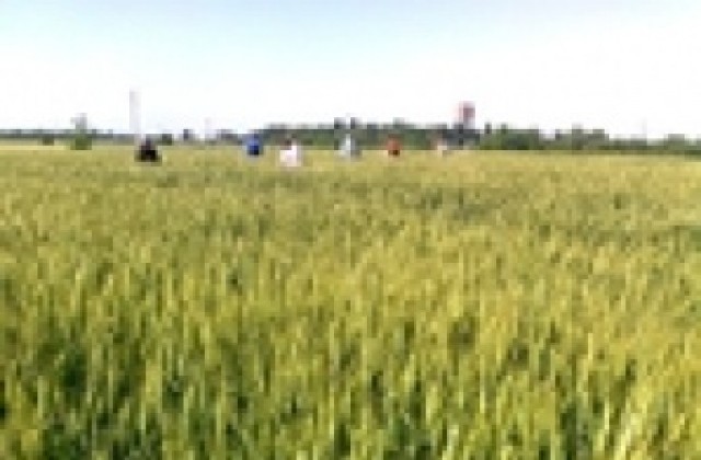 Казусът със земята на ИЗС „Образцов чифлик“ отново в съда