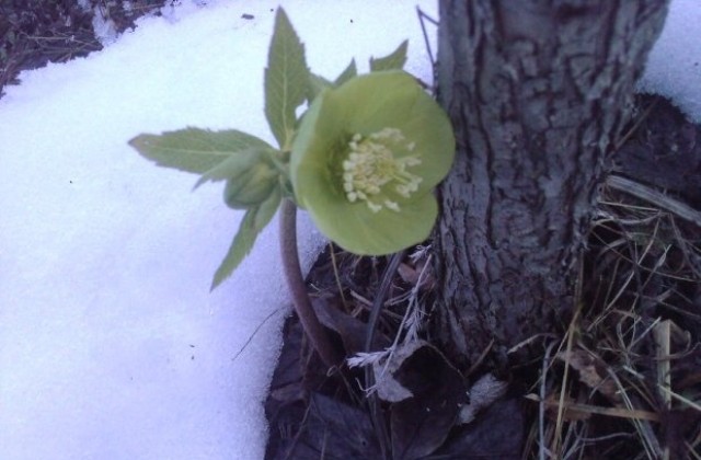 Валежи предимно от дъжд, след това затопляне