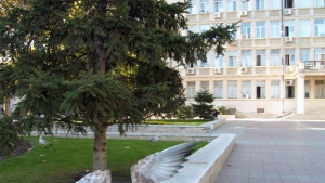 Във Варненско няма птичи грип уверяват инспектори