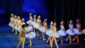 Лебедово езеро в Операта