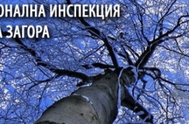 Обявиха конкурс за директор на РИОСВ-Стара Загора