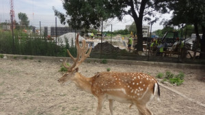 Зоокътът в Павликени в топ 50 на непознатите дестинации за