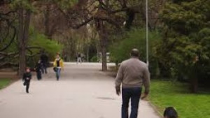 Увеличават се приходите от такса домашен любимец