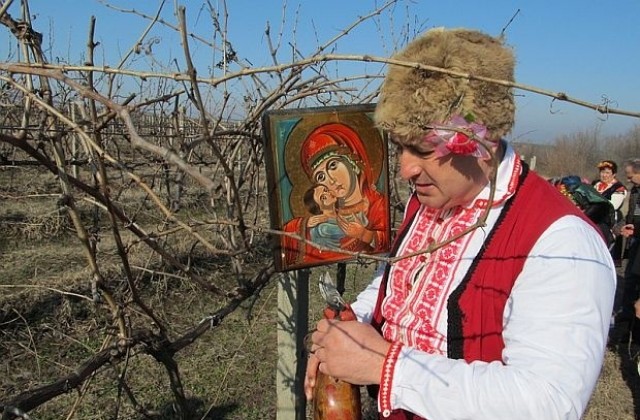 Почитаме Свети Трифон - покровител на лозарите, винарите и кръчмарите