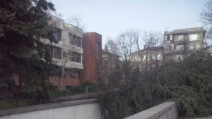 Ураганен вятър не излизайте