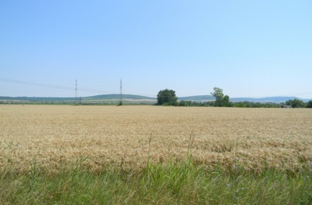 Изнесени приемни ще разясняват новите ceлcкocтoпaнcки мepки