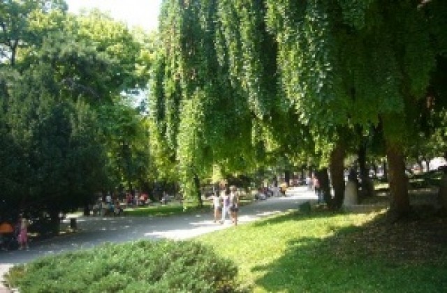 Какво, къде, кога в Стара Загора