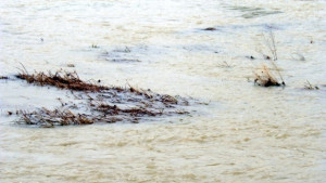 Кметове в готовност за евакуация