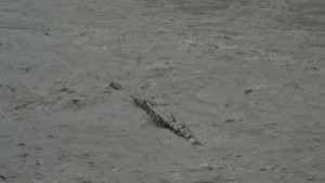 Стотици жители на варненски села прекараха нощта извън домовете си