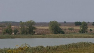 Откриха тяло на удавник в Янтра