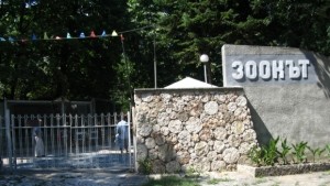 Варненският зоопарк се рекламира с нов сайт