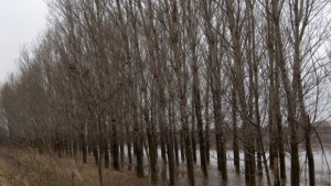 Слънчево и топло