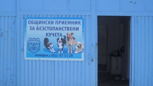 Още не е ясно има ли бруцелоза в кучкарника