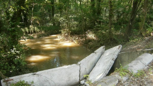 Албена отчита щети за 7 млн лева след трето наводнение