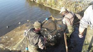 Мъртва риба в язовир Доспат