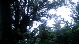 Ще продължи да нахлува студен въздух