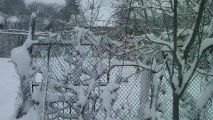 Обстановката в община Габрово