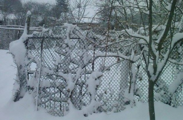 Обстановката в община Габрово