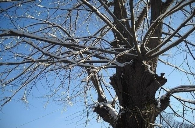 Температурите падат, ще превалява сняг