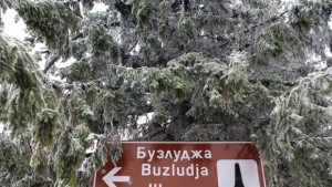 40 см сняг на Шипка