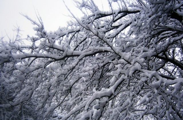 Жълт код за силен вятър