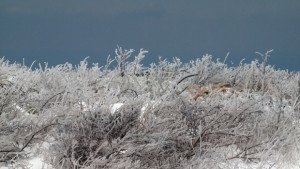 Жълт код в 15 области у нас заради силен вятър