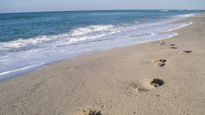 Отдават под наем чрез търг пет варненски плажа