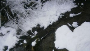 Слънчев ден