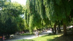 Хепънинг Ден на любовта и виното