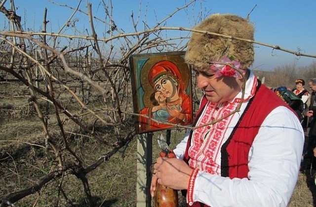 Денят на лозаря е